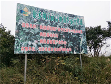 湖南省康多利油脂有限公司,油茶種植生產(chǎn)加工銷(xiāo)售,植物油種植生產(chǎn)加工銷(xiāo)售